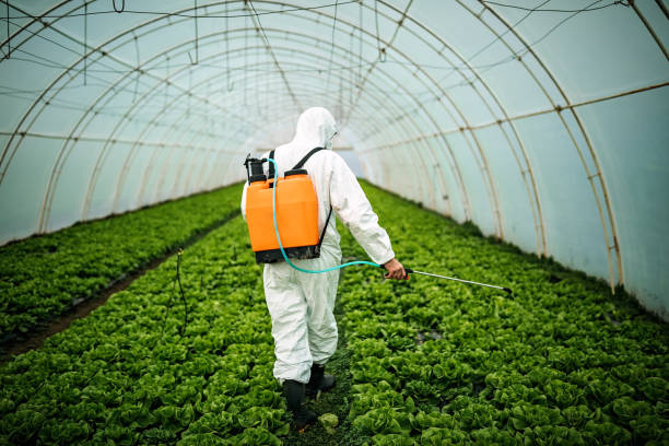Trusted Lake Park, NC Pest Control Experts